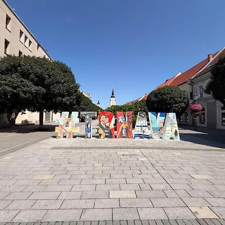 Air-conditioned In The Historical Center Of Apartmán Trnava